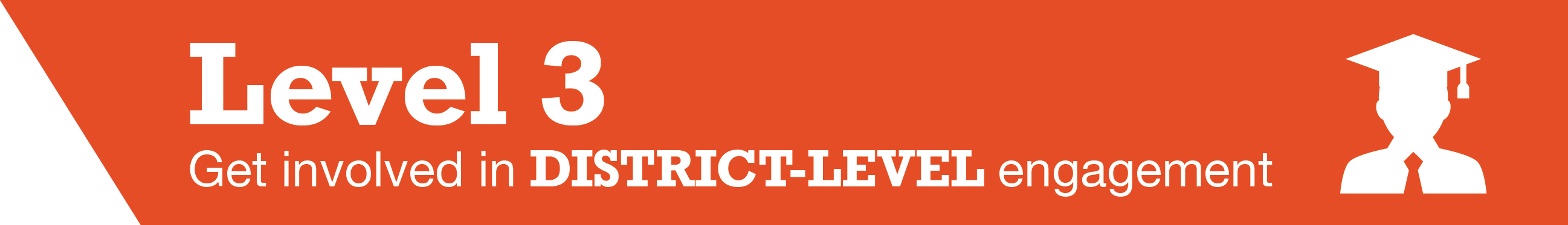 level 3 - get involved in district-level engagement